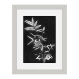 Set of 3, Black & White Leaves Collage Wall Art Frames - BF05