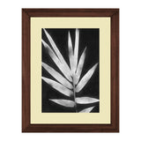 Set of 3, Black & White Leaves Collage Wall Art Frames - BF05