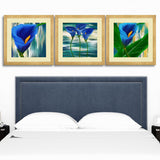 Set of 3, Vibrant Tulip Collage Wall Art Frames - BF19