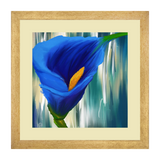 Set of 3, Vibrant Tulip Collage Wall Art Frames - BF19