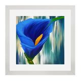 Set of 3, Vibrant Tulip Collage Wall Art Frames - BF19
